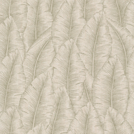 Wall Papers- Cumaru cu 3203