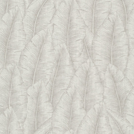 Wall Papers- Cumaru cu 3204