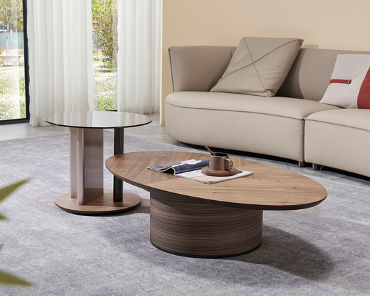 IN-Hazelnut modern minimalist coffee table