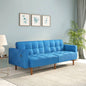 Denzel Futon Sofa Cum Bed-Blue