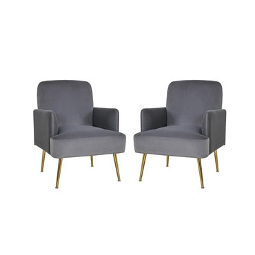 Daniela Armchair with Metal Legs(Set of 2)