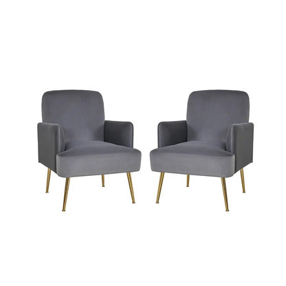 Daniela Armchair with Metal Legs(Set of 2)