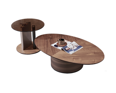 IN-Hazelnut modern minimalist coffee table