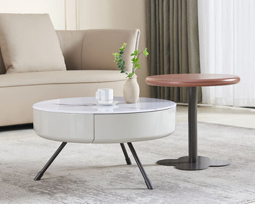 IN-Modern simple panda white coffee table