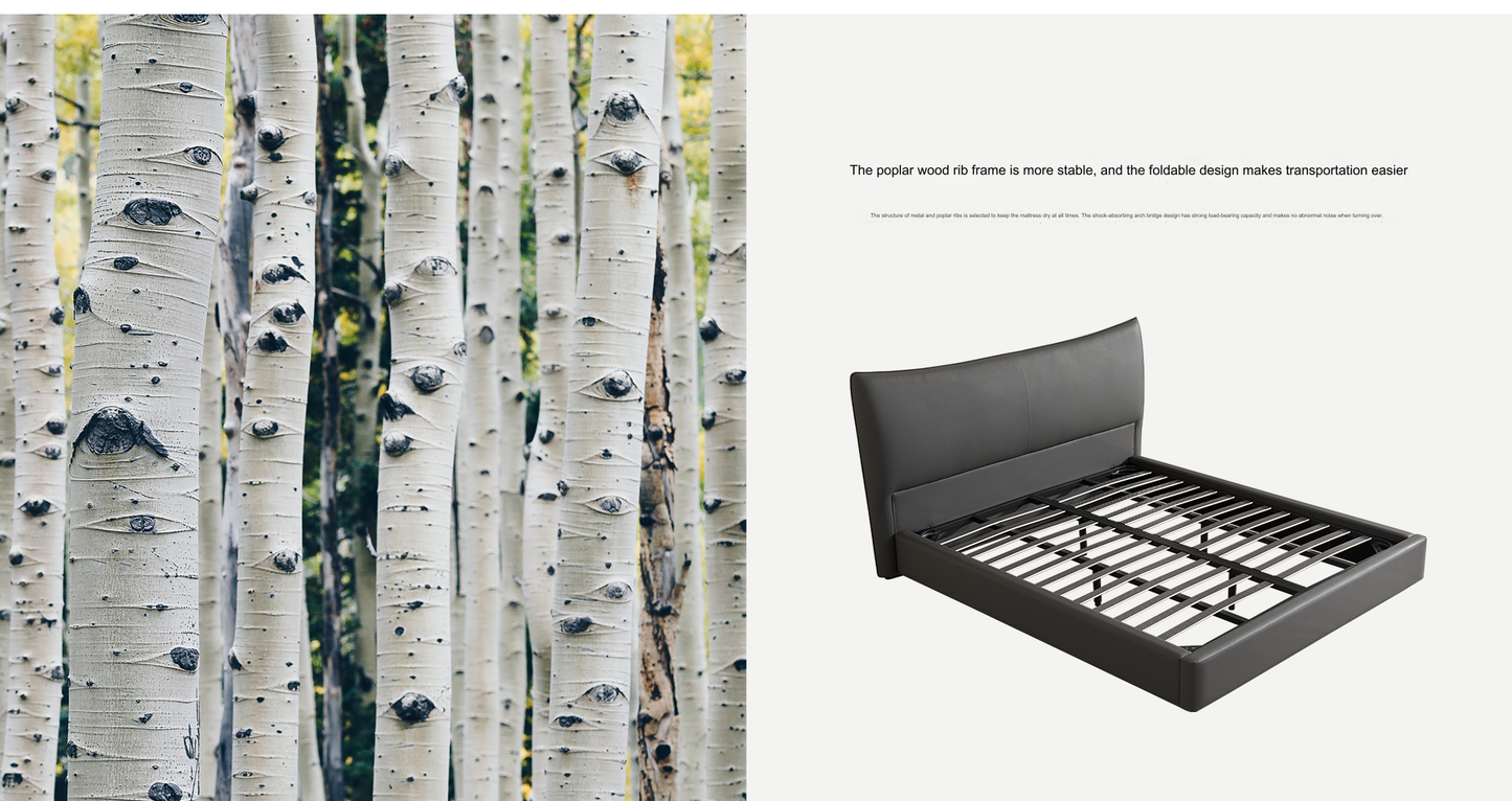 IN-Modern minimalist technology leather soft bed