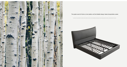 IN-Modern minimalist technology leather soft bed
