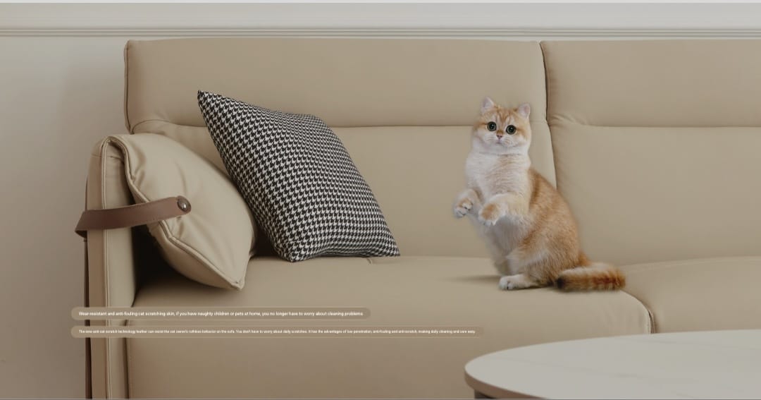 IN-Italian Light Luxury Cat Claw 3 Seater Leather Sofa