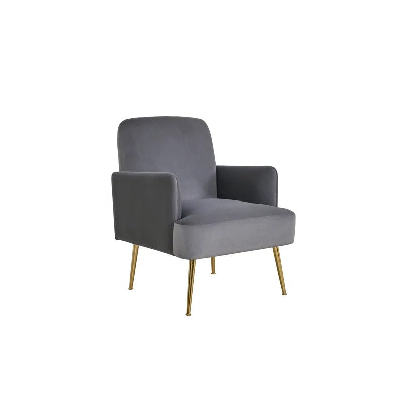 Daniela Armchair with Metal Legs(Set of 2)