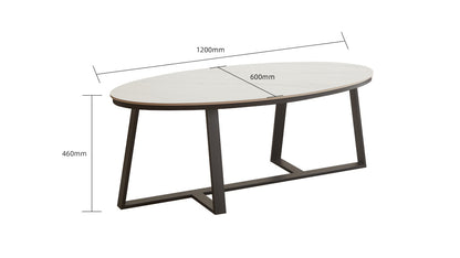 IN-Modern Simple Creative Coffee Table