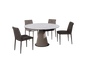 IN-Fashionable slate functional dining table and chairs set