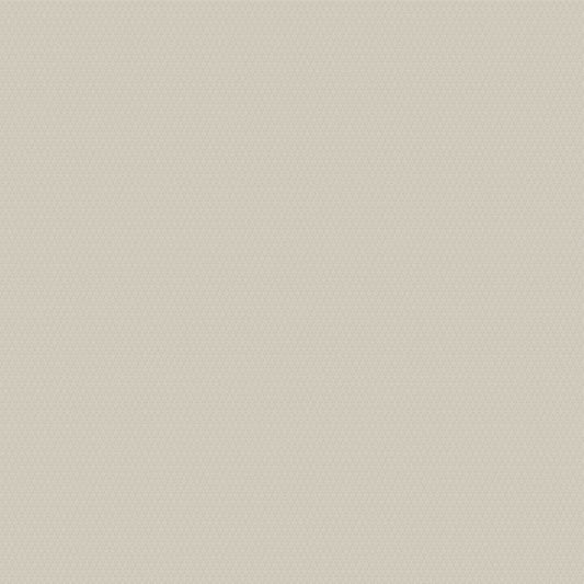 Wall Papers- Blanc K 0021-2