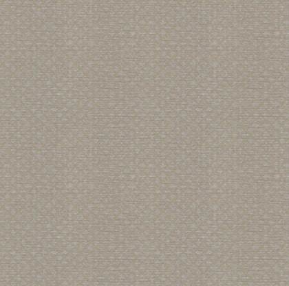 Wall Papers- Wall Magic PB 7008