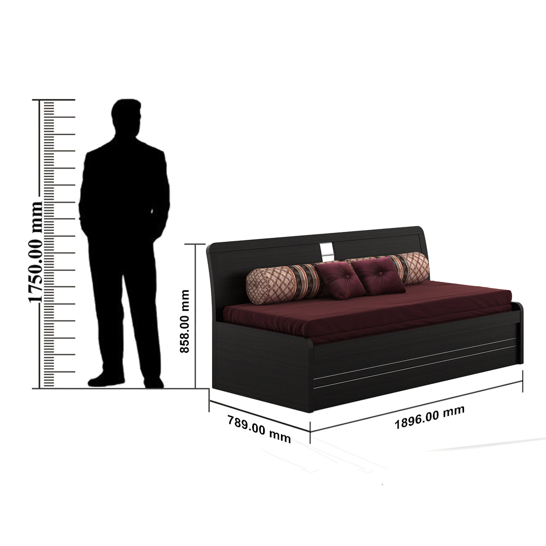 Urbano Sofa cum Bed